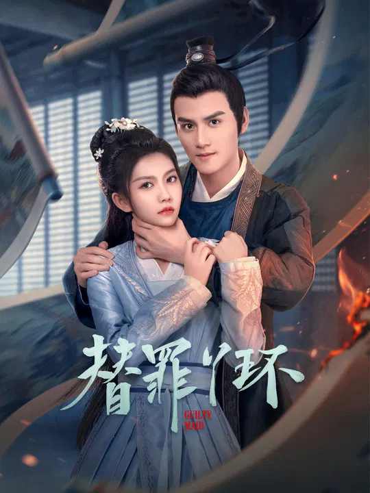 【国产剧】替罪丫环